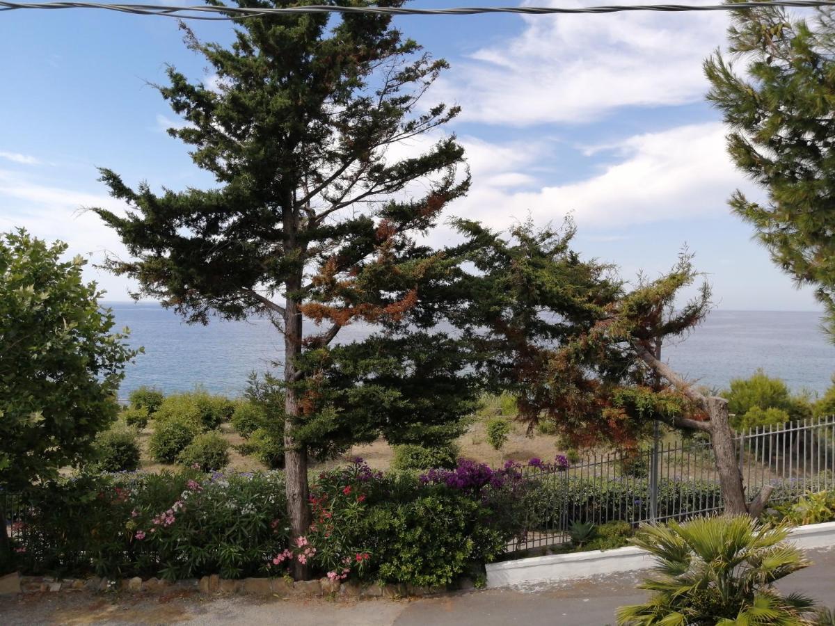 Villaggio Turistico La Vesca Sanremo Eksteriør billede
